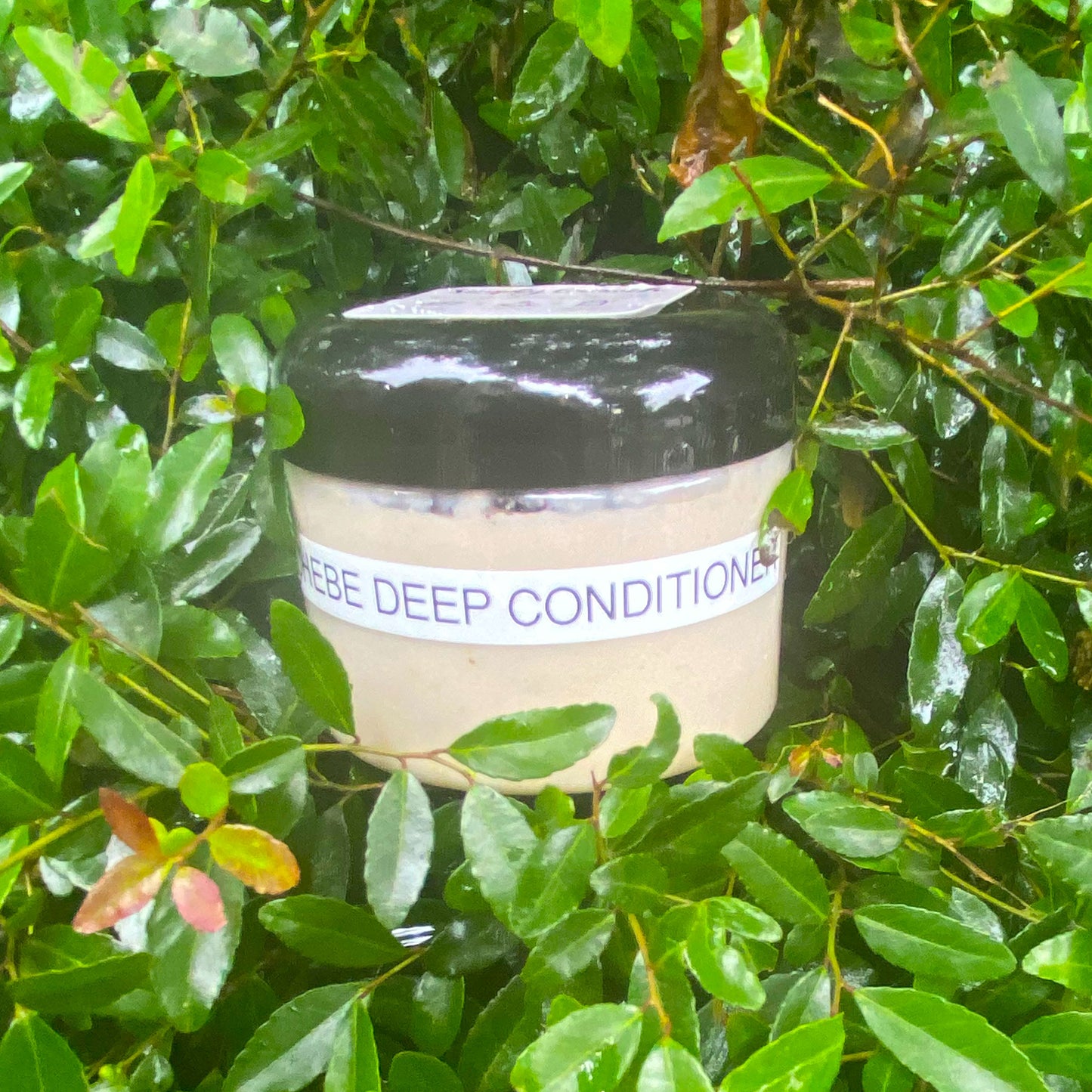 Chebe Deep Conditioner