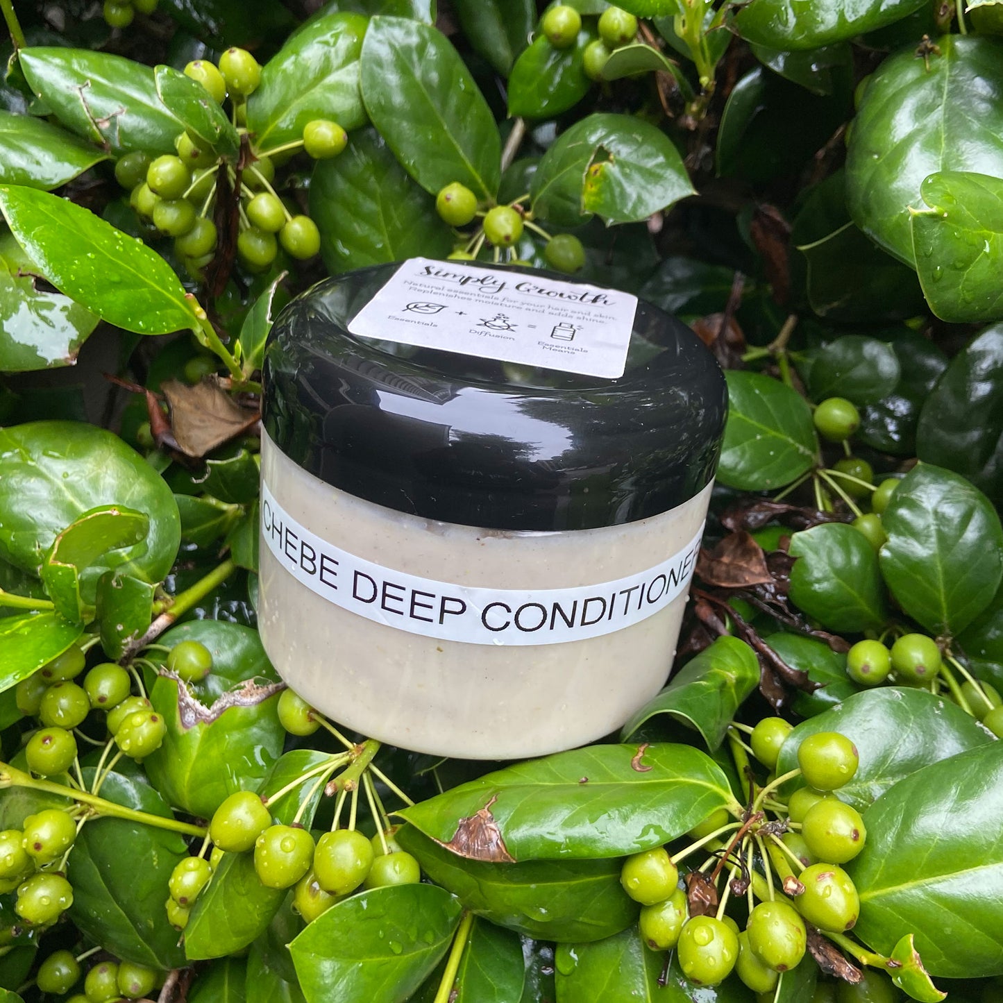 Chebe Deep Conditioner